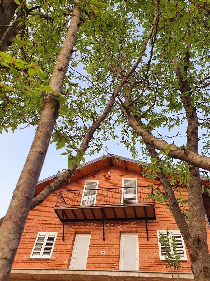 Borealis Guest House Koman Exterior foto